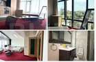 apartament 1 camera gara renovat complet - 1