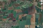 teren extravilan arabil 6.5 ha Peciu Nou - 2