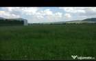 teren intravilan 17000mp - 5