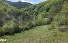 Teren extravilan, 9.083 mp, peisaj superb si liniste totala, zona Mete - 17