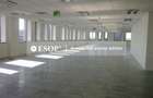 Afi Lakeview, Barbu Vacarescu, 417 - 2710 mp 0% comision! - 6