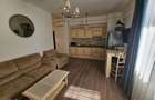 Apartament de inchiriat cu 2 camere zona Palas Lazar Rezidence - 8