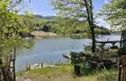 Vand cabana in zona lac Surduc. - 6