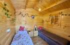 Cabane de vanzare, cu 3 camere, 50 mp, zona Brad - 8