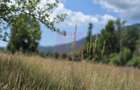 Teren 1000 mp cu view superb in Busteni - 3