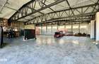 INVESTITIE Hala 450MP Curte privata - 1