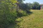Vand teren in Palazu Mare - 3