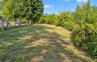 Teren 2.774 mp + casa, central Cetatea Giurgiu, deschidere 20 m - 1