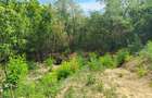 Teren intravilan 2440 m2 - 3