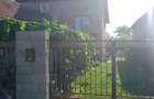 2 case in aceiasi curte - 9