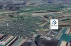Hala industriala, depozitare vanzare,inchiriere Seitin Arad 10 km vama - 6