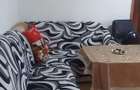 Apartament 2 camere, MIhai Bravu (ID:T505) - 4