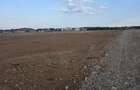 Teren de 523 mp, în Nufărul - 3