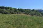Teren agricol extravilan de 7300 mp, în Baciu