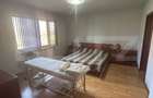 Vila Remetea Mare 380mp utili, 3982 mp teren - 17