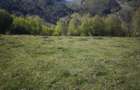 Vand teren pe Transapuseana in Ponor - 5