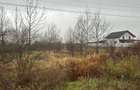 Feteni-Valea Mare (DB)-langa Casa bunicilor strdal - 3