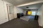 Spatiu Comercial - Antiaeriana - Alexandriei - 11