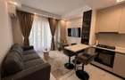 Studio dublu Ansamblul Rezidential Cosmopolis - 1