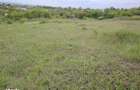 Teren 1800 mp deschidere 20 ml la Sos. de Centura- zona Ciurbesti - 1