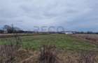 RECO Teren intravilan in Bors cu front mare - 6