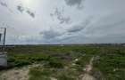 Teren 2500 mp zona Boreal