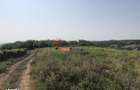 Teren Sorogari, 19000mp, 35euro/mp