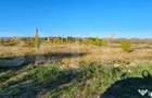 Teren 5000m2 Targoviste - ZONA INDUSTRIALA C.O.S. TGV - Gaesti (Dambovita) - 2