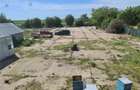 Vand ferma cu livada in Zadareni, Arad - 4