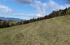 Vand casa de vacanta cu gradina si teren 4000mp Livezi Harghita - 2