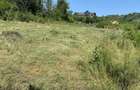 Vand teren intravilan Podis - 1