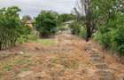 Teren intravilan 2562mp Loc 23 August | Ideal locuiță sau casă vacanță - 4