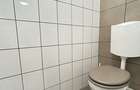 Ultracentral, spatiu comercial 490 mp. - 13