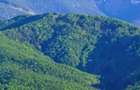 Teren Valea Avrigului (Avrig, Sibiu) - 2