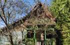 Vand casa de vacanta de 70 mp pe un teren de 1572 mp in Campul Cetatii la intrare in sat,langa sosea - 3