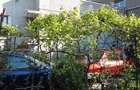 Casa cu gradina si beci, ultracentral, Str Democratiei, langa Muzeul Ceasului - 3