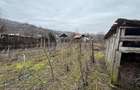 vand casa + teren agricol sa Ceptura de Sus