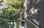Apartament 3 camere decomandat | Bd. Gheorghe ?incai nr. 14 | Etaj 2 8 | Loc de parcare | 209.000 - 1
