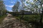 Loturi de vanzare Padurea Snagov - 5