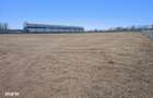 Teren ideal pentru hala + showroom | 4.000 mp | Letea Veche - 2