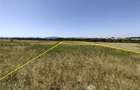 Nicolint, 2 Terenuri Extravilane, Arabil, 1.45 Hectare - 4