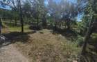 Teren intravilan Benic - 5