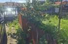 Casa de vanzare cu livada, fanta, 98 mp, Str. Principala - C - 14