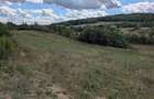 Vand URGENT Teren 11.200 mp Recea-Cristur, front 220 m la asfalt, apa pe teren