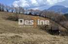 Teren 5000 mp, ideal cabana, pensiune, in zona de interes... - 6