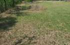 Vand - 2500mp - teren - intravilan - Sat.Robesti, Comuna Parscov, Buzau