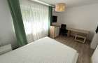 Podu Ros, mobilat+utilat, 2 camere, locatie excelenta - 10