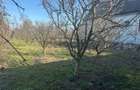 RECO Casa de vanzare in Inand - 6