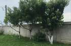 Casa de vanzare Lehliu-Gara, sat Razvani. - 5