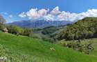 Teren intravilan in Moieciu | 2.847 mp | Deschidere DN 73 - 2